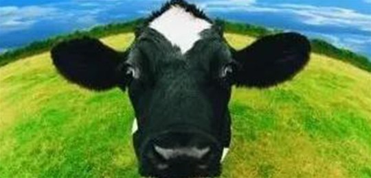 农业农村部：支持建设生态养牛、养羊场，形成生态有机良性循环  中国畜牧业协会信息分会  9月22日